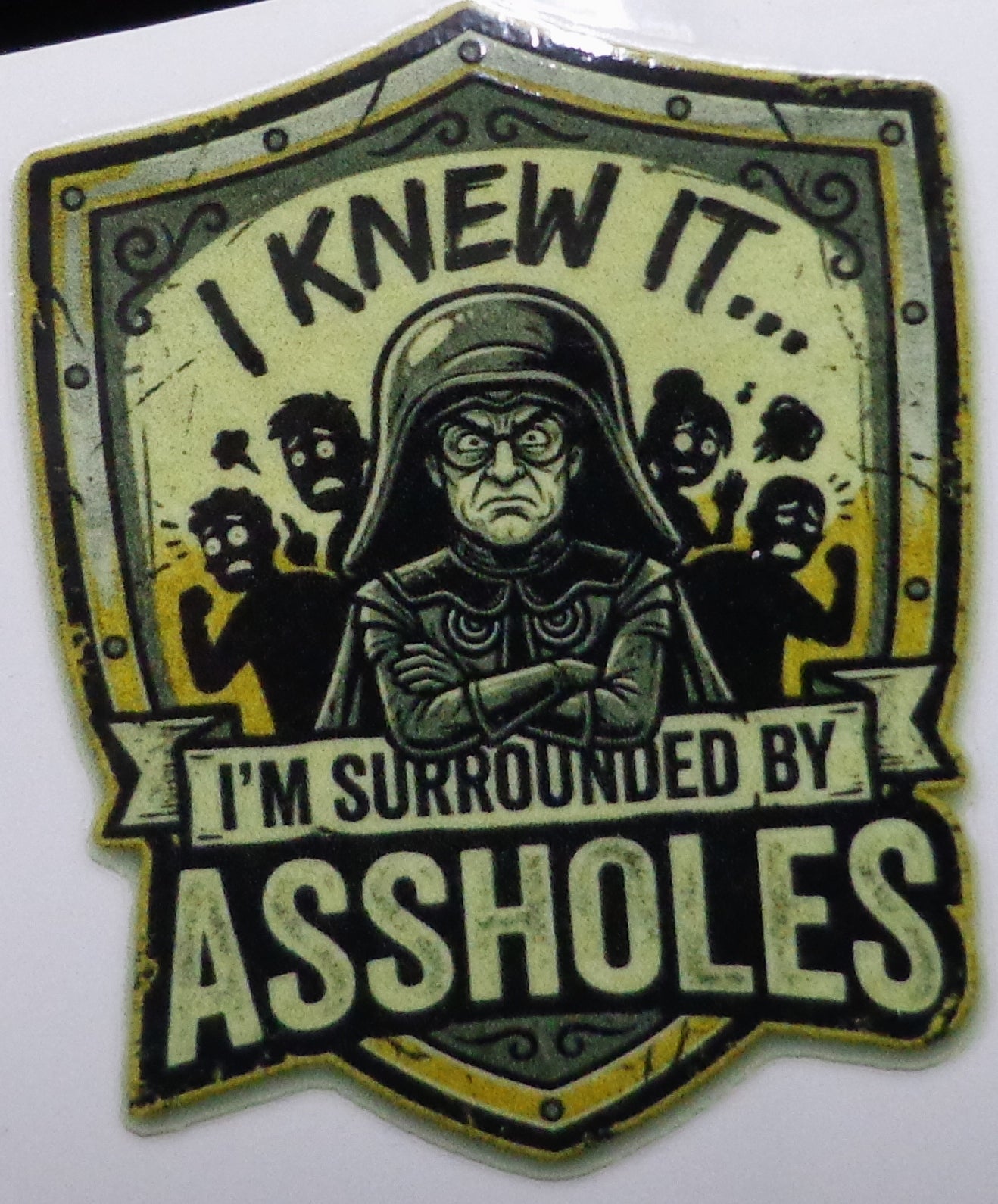 I knew it.. I'm surrounded by A**holes Sticker 3 in x 3 in