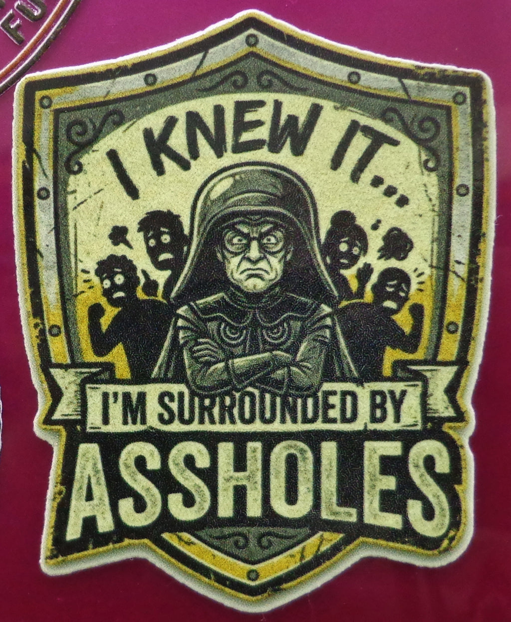 I knew it.. I'm surrounded by A**holes Sticker 3 in x 3 in