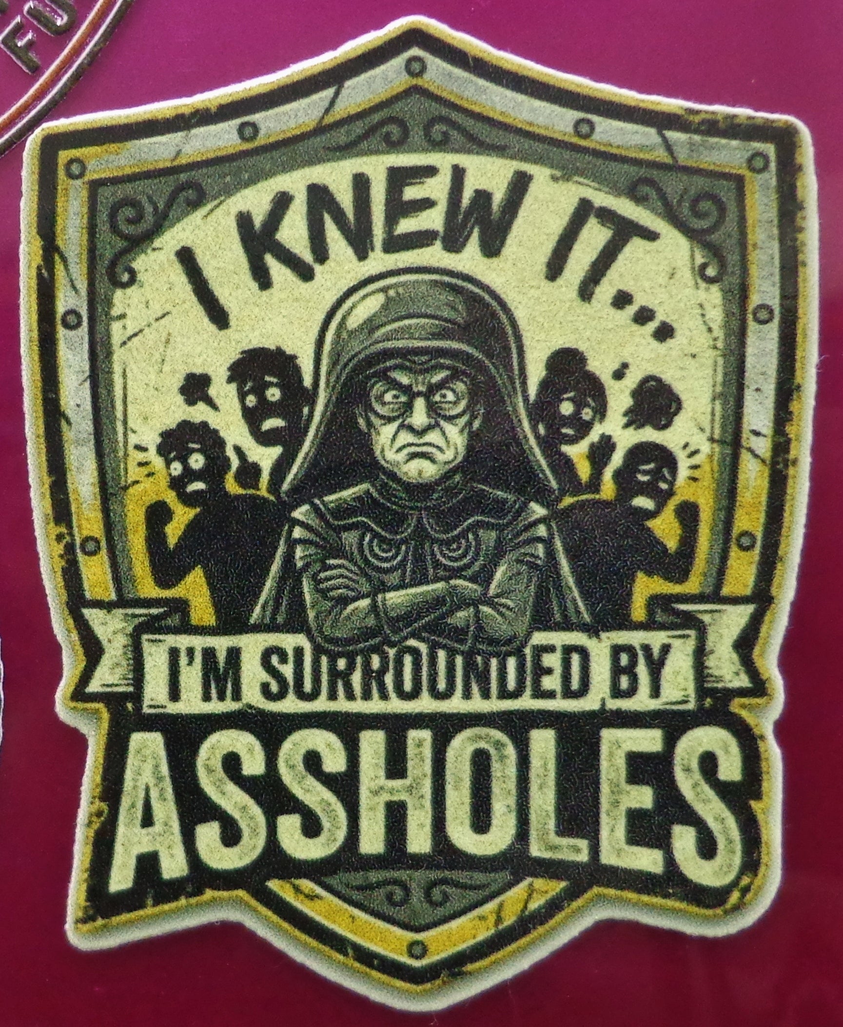 I knew it.. I'm surrounded by A**holes Sticker 3 in x 3 in
